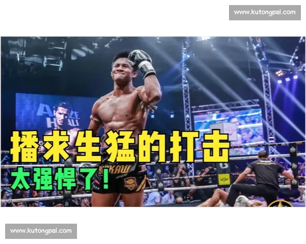 方便对决威廉巅峰硬碰硬谁能称霸拳台世纪之战技术力量全面较量